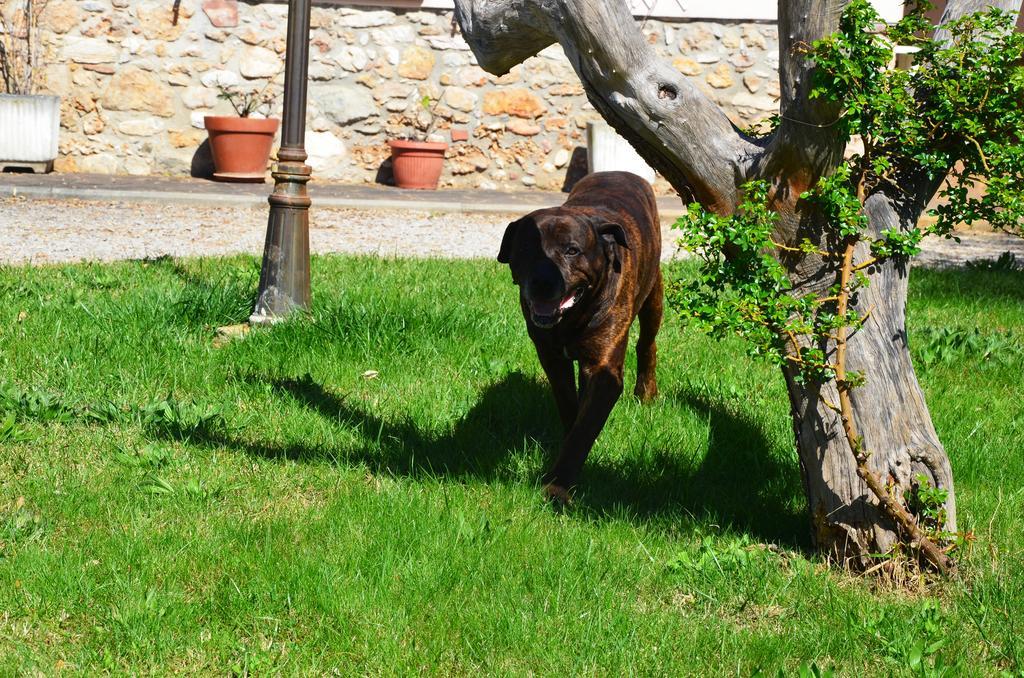 Hotel Agriturismo Masseto Campiglia Marittima Zimmer foto